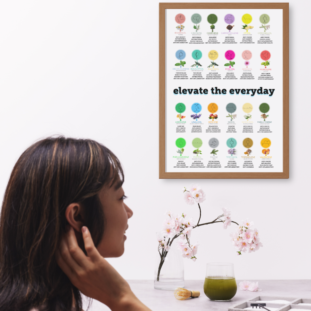 Terpene Poster