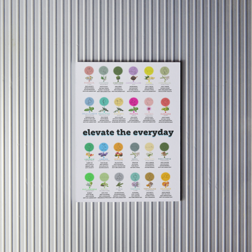 Terpene Poster