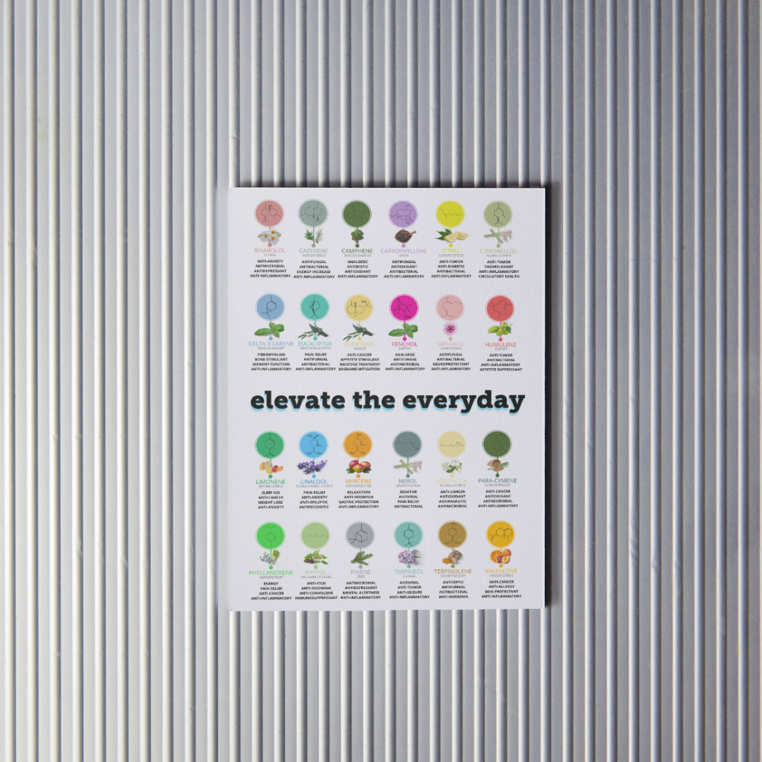 Terpene Poster